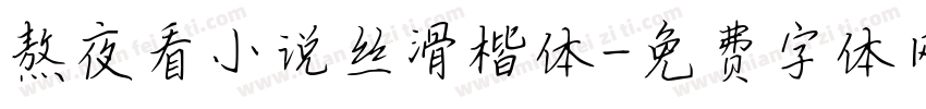 熬夜看小说丝滑楷体字体转换
