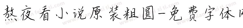 熬夜看小说原装粗圆字体转换