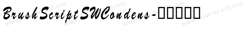 BrushScriptSWCondens字体转换