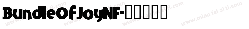 BundleOfJoyNF字体转换