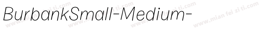 BurbankSmall-Medium字体转换