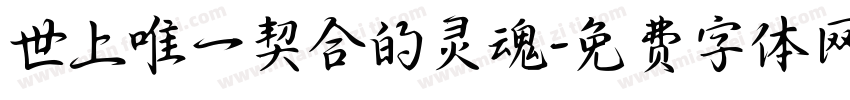 世上唯一契合的灵魂字体转换