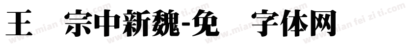 王汉宗中新魏字体转换