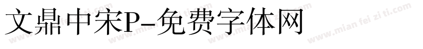 文鼎中宋P字体转换