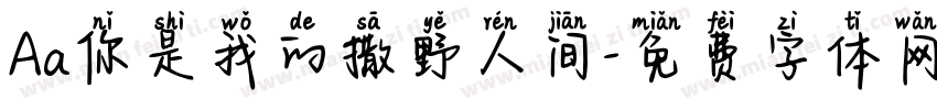 Aa你是我的撒野人间字体转换