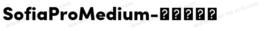 SofiaProMedium字体转换