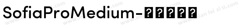 SofiaProMedium字体转换