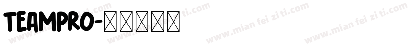 TEAMPRO字体转换