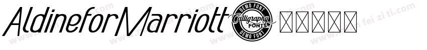 AldineforMarriott字体转换
