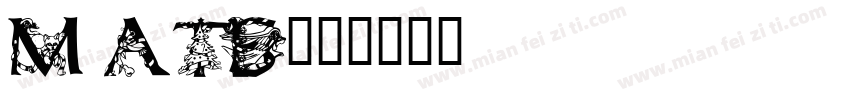 MATIS字体转换