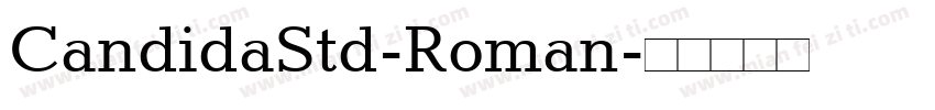 CandidaStd-Roman字体转换