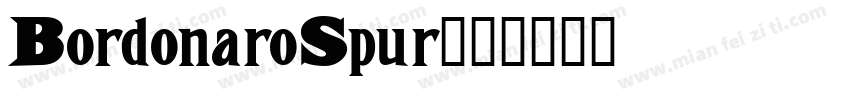 BordonaroSpur字体转换