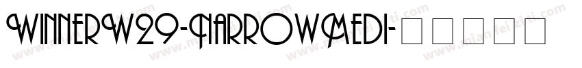 WinnerW29-NarrowMedi字体转换