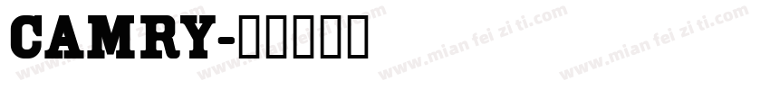 CAMRy字体转换