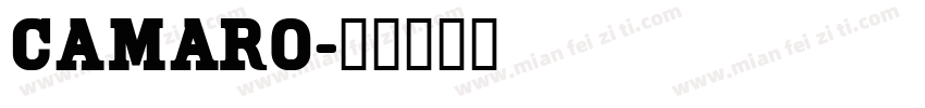 Camaro字体转换