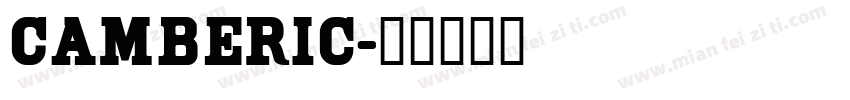 Camberic字体转换