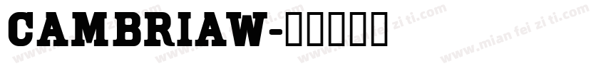 CambriaW字体转换