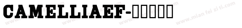 CamelliaEF字体转换