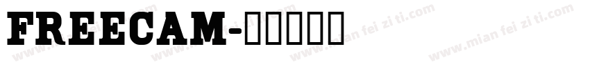 Freecam字体转换