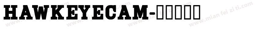 HawkeyeCam字体转换
