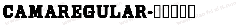 camaregular字体转换