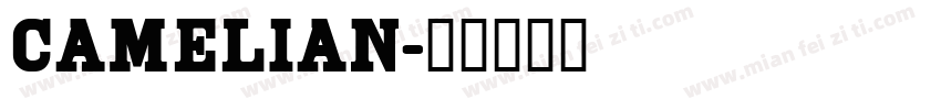 camelian字体转换