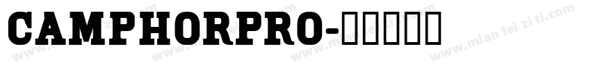 camphorpro字体转换