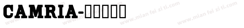 camria字体转换