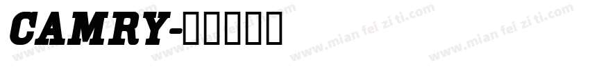CAMRy字体转换
