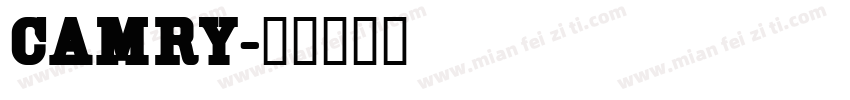 CAMRy字体转换