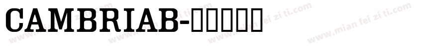 CAMBRIAB字体转换