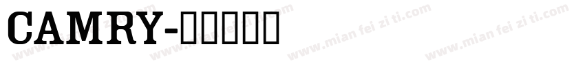 CAMRy字体转换