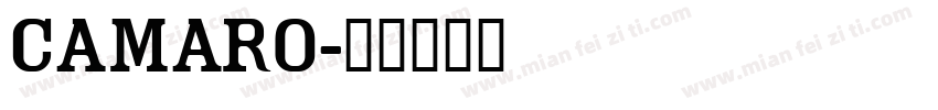 Camaro字体转换