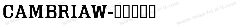 CambriaW字体转换
