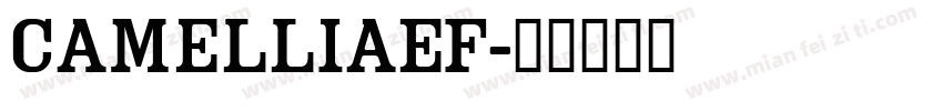 CamelliaEF字体转换