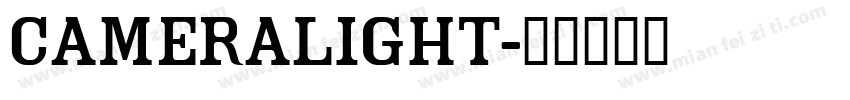 Cameralight字体转换