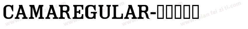 camaregular字体转换