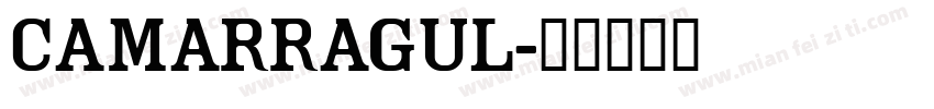 camarragul字体转换