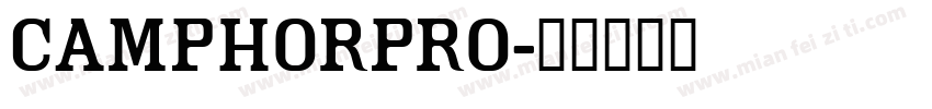 camphorpro字体转换