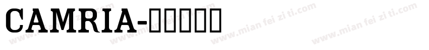 camria字体转换