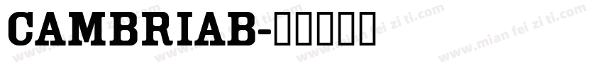 CAMBRIAB字体转换