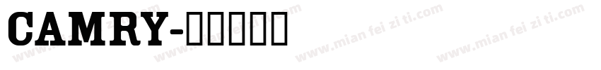 CAMRy字体转换