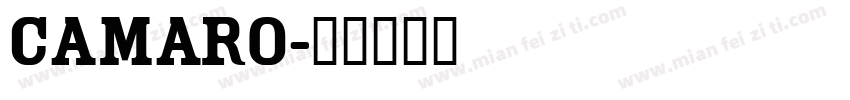 Camaro字体转换
