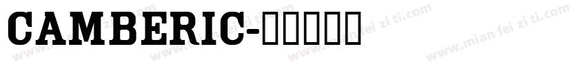 Camberic字体转换