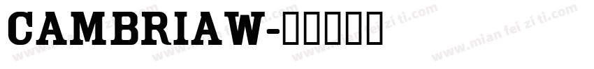 CambriaW字体转换
