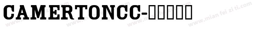 CamertonCC字体转换