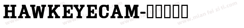 HawkeyeCam字体转换