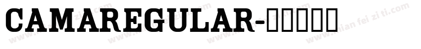 camaregular字体转换