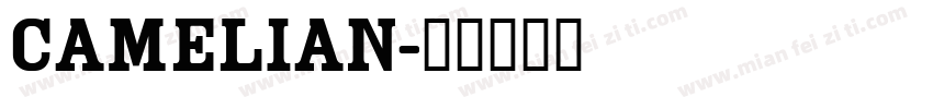 camelian字体转换