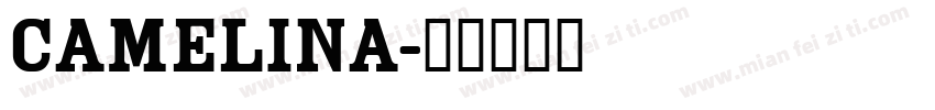 camelina字体转换